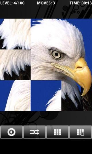 Bird - PuzzleBox截图3