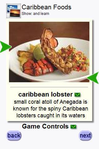 Caribbean Foods截图3