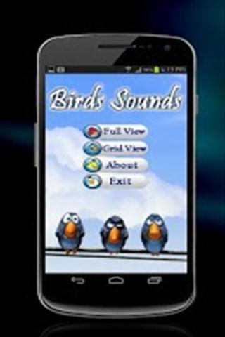 鸟类的声音截图5