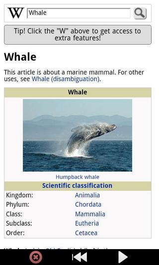 鲸鱼：野生动物截图1
