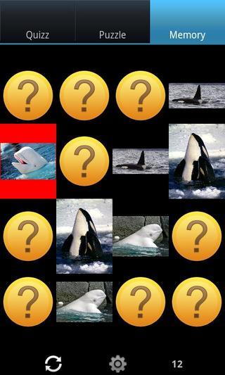 鲸鱼：野生动物截图3