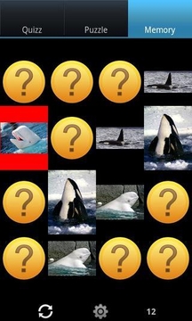 鲸鱼：野生动物截图