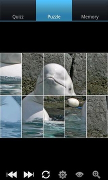 鲸鱼：野生动物截图