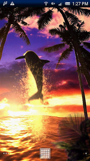Dolphin Sunrise Free截图1