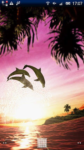 Dolphin Sunrise Free截图3