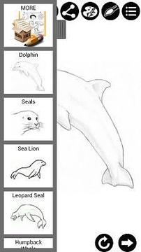 如何绘制海洋动物 How...截图
