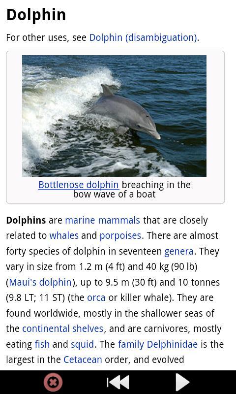 有趣的海豚 Funny Dolphins截图3