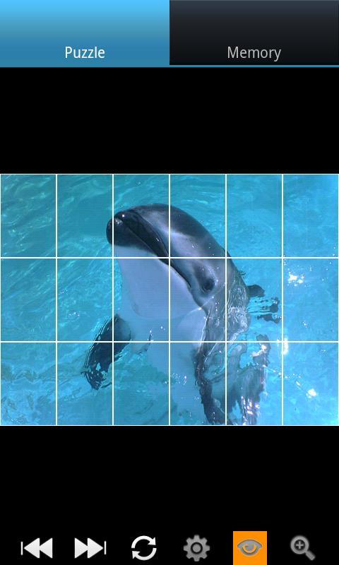 有趣的海豚 Funny Dolphins截图5
