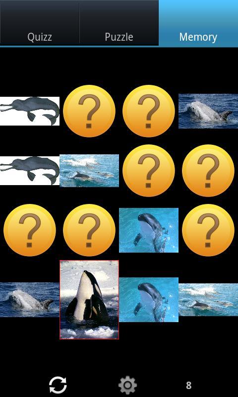 有趣的海豚 Funny Dolphins截图6