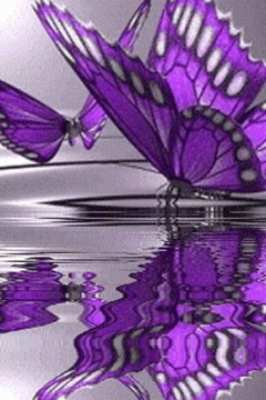 Very Beatiful Butterfly Live W截图