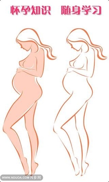 怀孕宝典截图