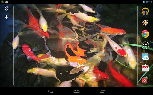 Baby-Koi:Water Effect截图3