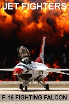 F16战斗机截图
