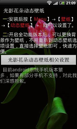 光影花朵动态壁纸截图1