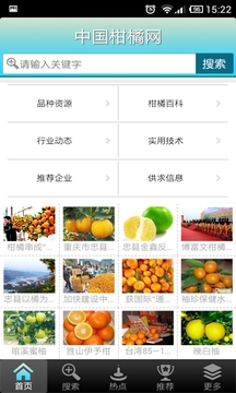 中国柑橘网截图