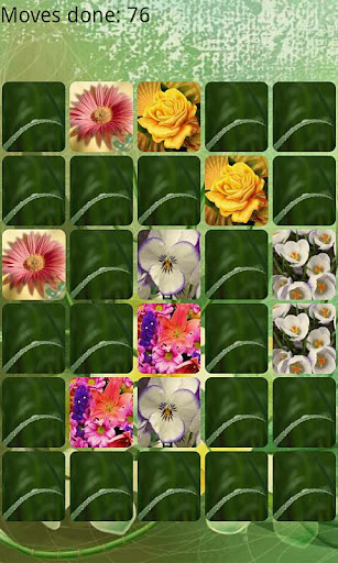 Flowers Memory HD截图4