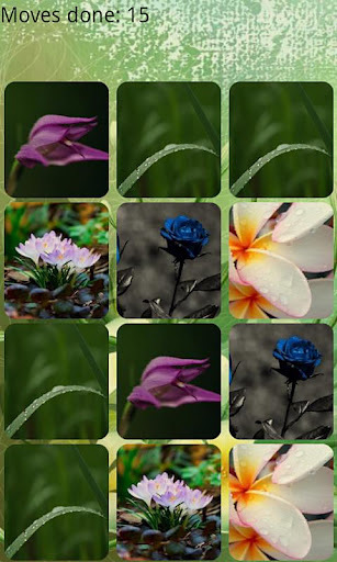 Flowers Memory HD截图5