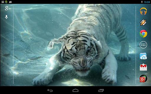 Underwater Tiger截图1