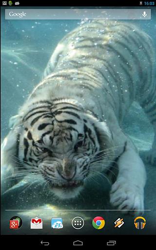 Underwater Tiger截图4