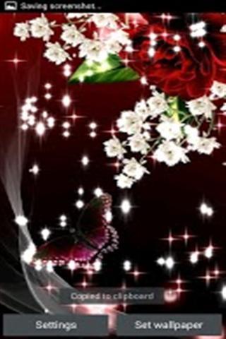 Red Rose Butterfly Live Wallpaper截图1