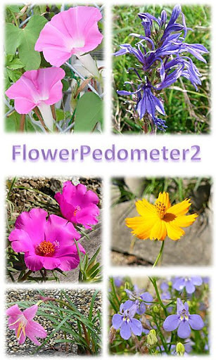 Flower Pedometer 2截图2