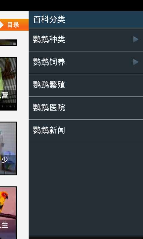 鹦鹉饲养截图3