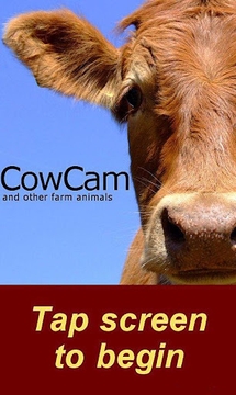 CowCam截图
