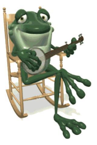 Frog cute musician Live Wallpa截图2