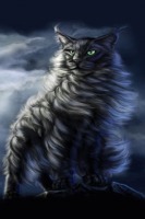 Cat Winds Live Wallpaper 2截图1