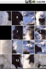 Border Collie Dog Puzzles截图1