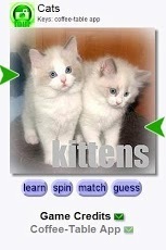 Match: Kittens截图1