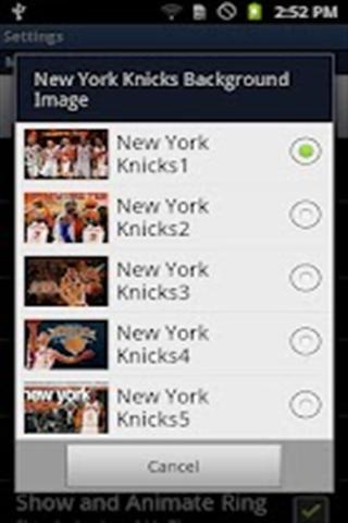 纽约尼克斯队动态壁纸截图3