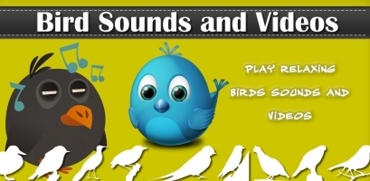 Bird sounds and videos 截图1