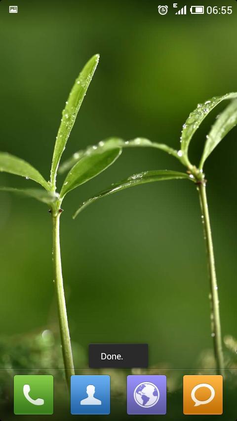 绿色植物主题动态壁纸4截图4