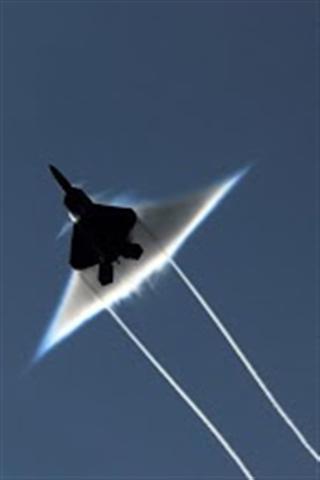 F22 RAPTOR截图4