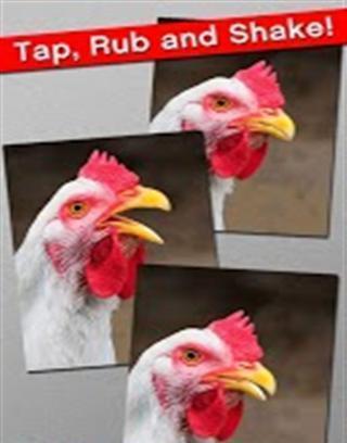 愤怒的鸡截图2