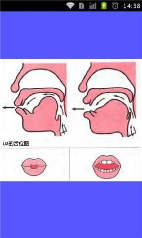 标准普通话发音舌位图截图2