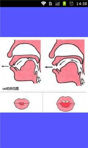 标准普通话发音舌位图截图3