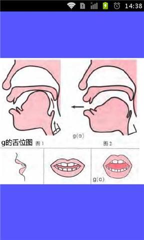 标准普通话发音舌位图截图4