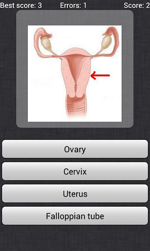 Anatomy Quiz截图1