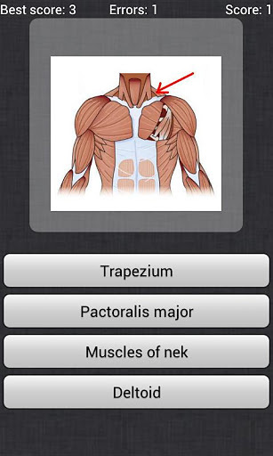 Anatomy Quiz截图3