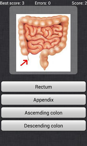 Anatomy Quiz截图4