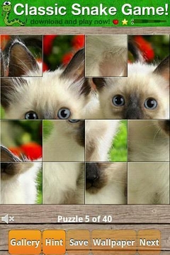 Cats Puzzle截图