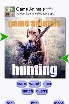 Hunting Game截图