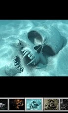 Skulls HD Wallpapers截图2