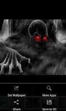 Skulls HD Wallpapers截图3