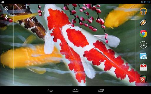 Galaxy Interactive Koi Fish截图3