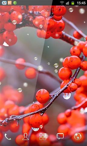 秋季雨动态壁纸截图4