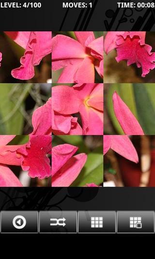 Orchid - PuzzleBox截图1