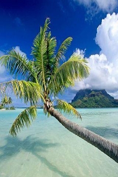 Amazing Island Wallpaper截图